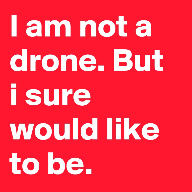 I am not a drone. But i sure would like to be.