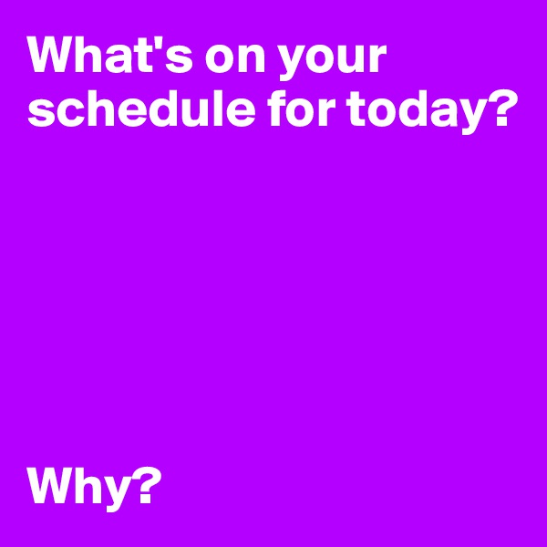 What's on your schedule for today?






Why?