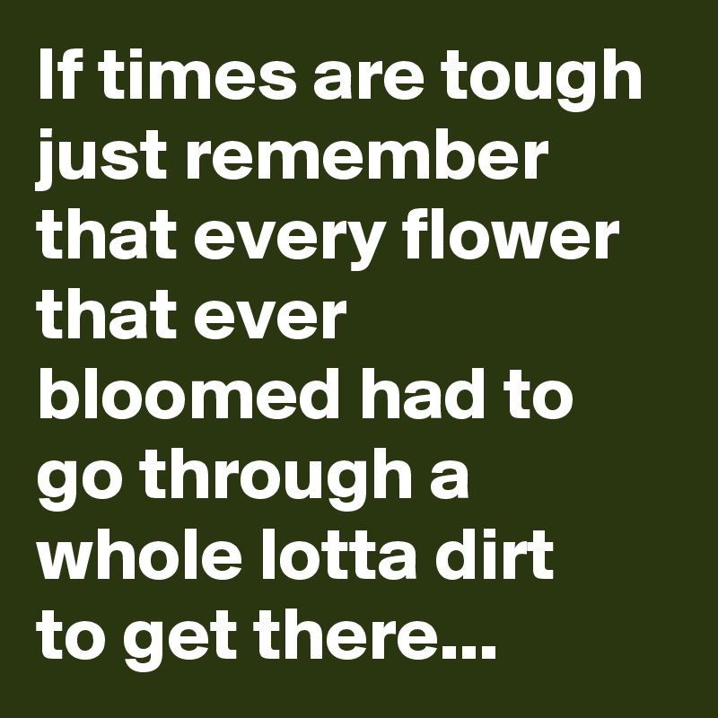 If times are tough just remember that every flower that ever bloomed had to go through a whole lotta dirt
to get there...