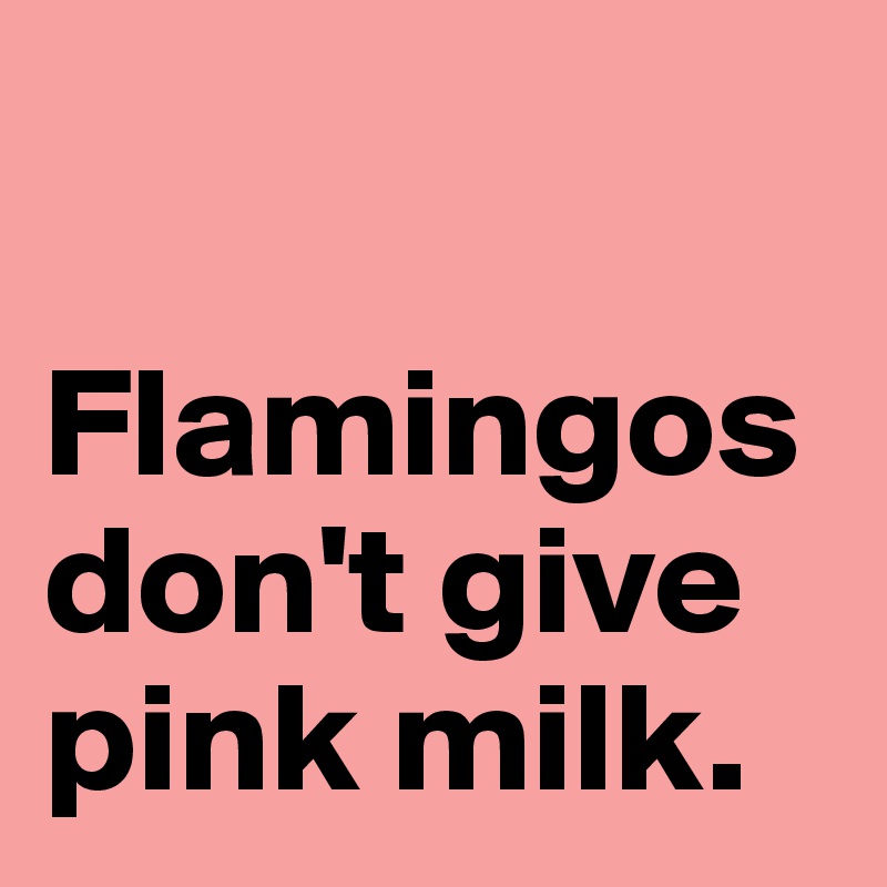 

Flamingos don't give pink milk.
