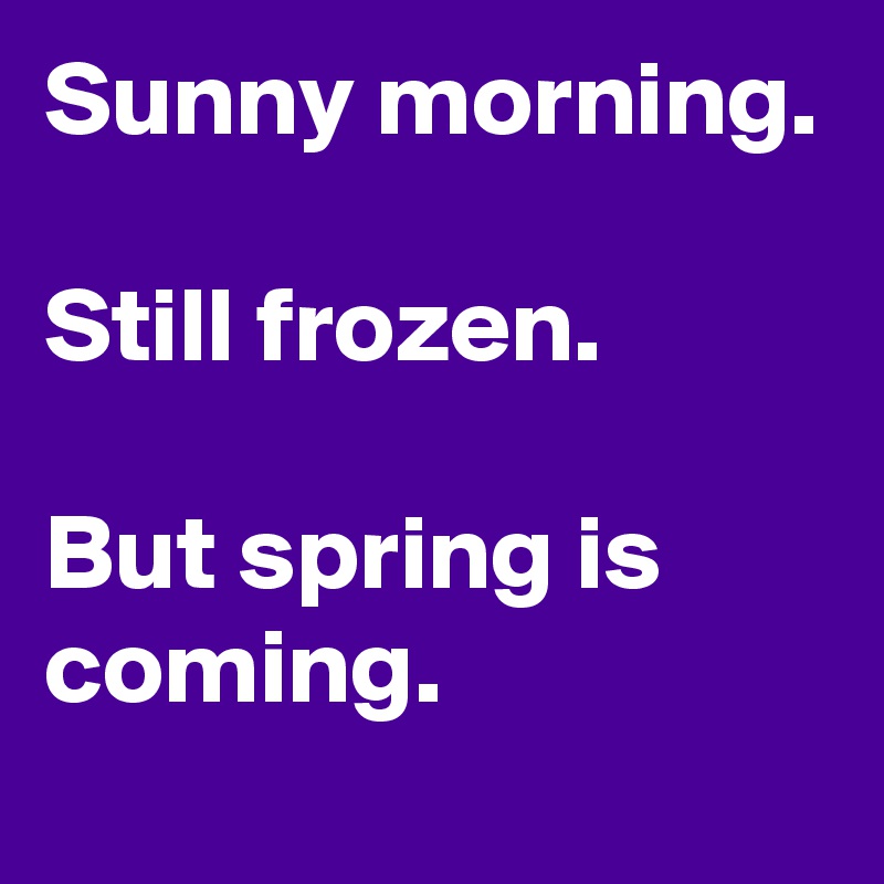 Sunny morning.

Still frozen.

But spring is coming.