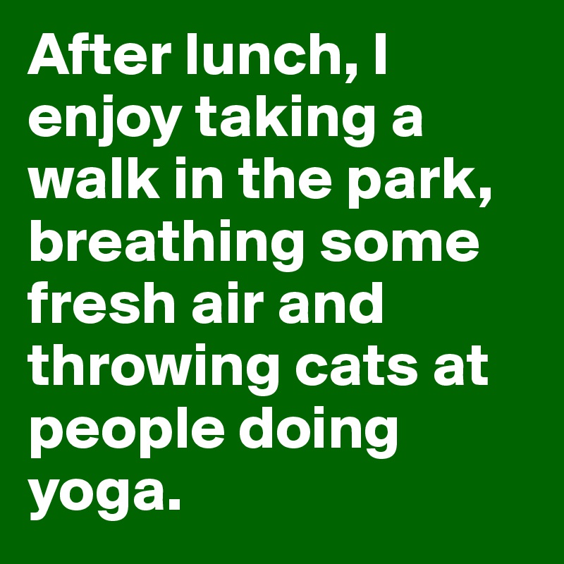 After lunch, I enjoy taking a walk in the park, breathing some fresh air and throwing cats at people doing yoga.