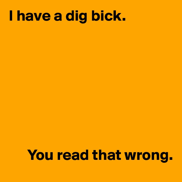 I have a dig bick.








      You read that wrong.
