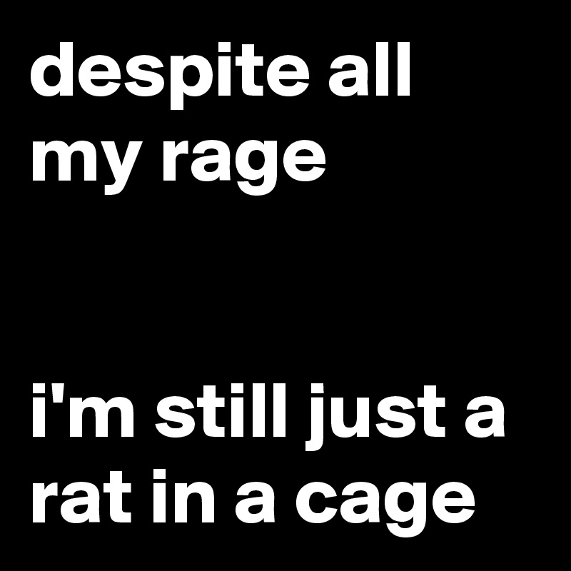 just a rat in a cage