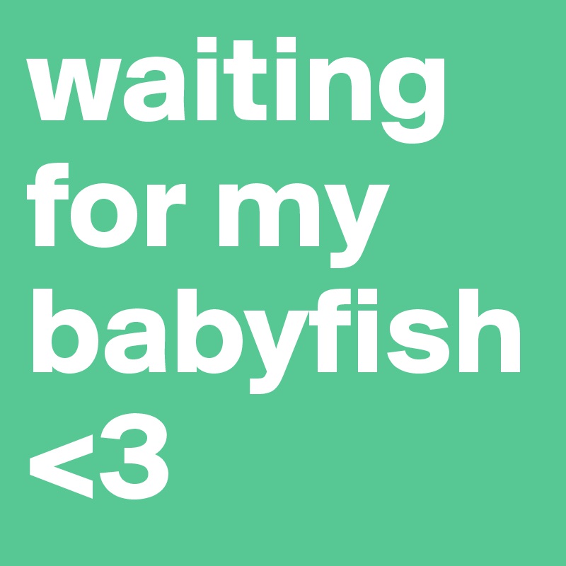 waiting for my babyfish <3