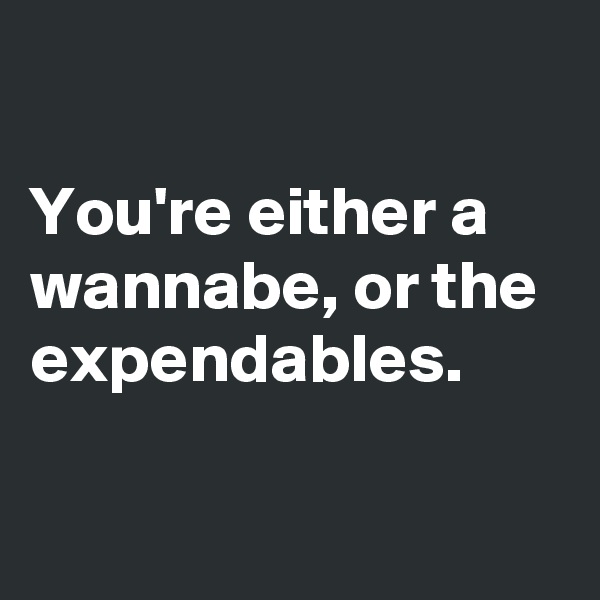 

You're either a wannabe, or the expendables.

