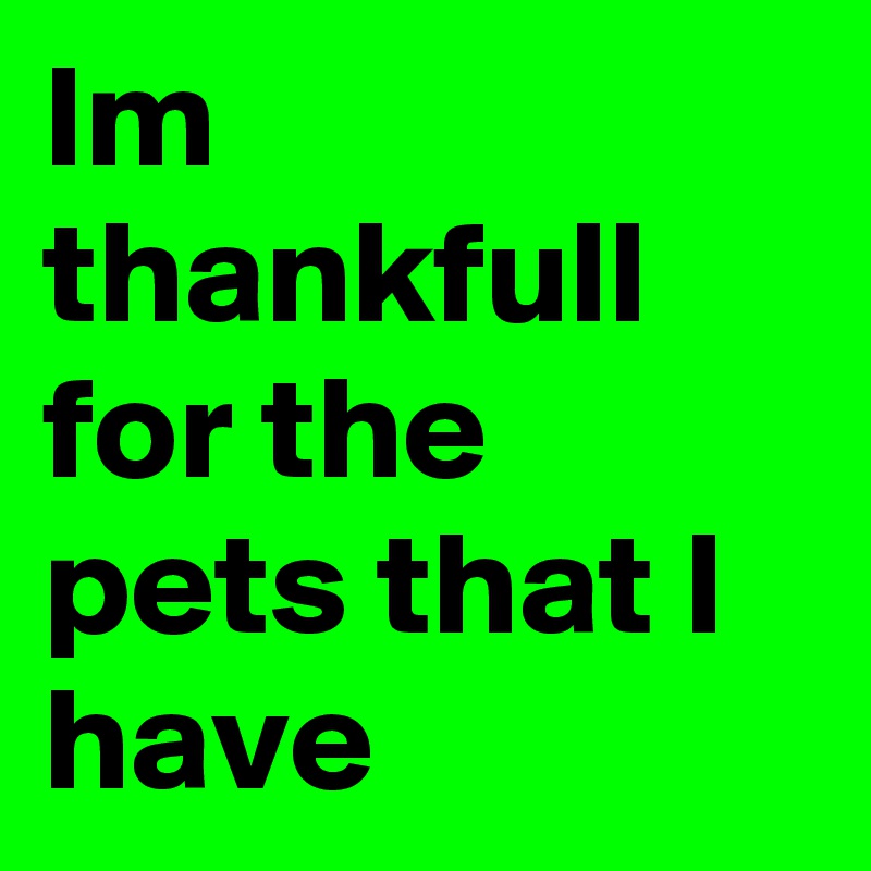 Im thankfull for the pets that I have  