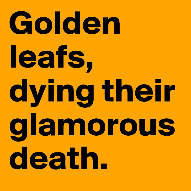 Golden leafs,
dying their glamorous death.
