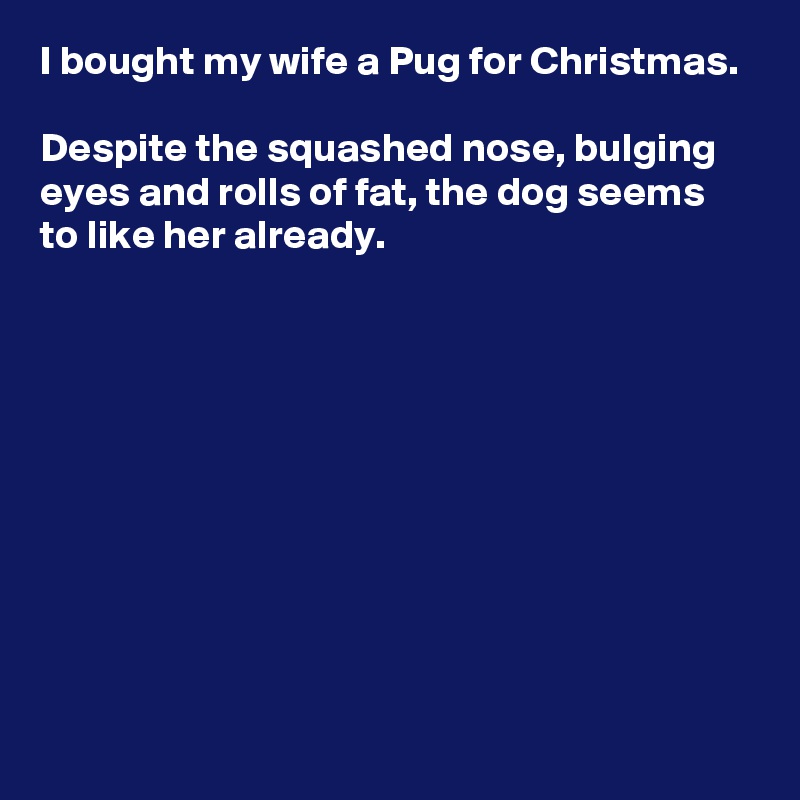 I bought my wife a Pug for Christmas.

Despite the squashed nose, bulging eyes and rolls of fat, the dog seems to like her already.










