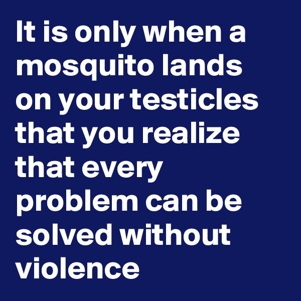It is only when a mosquito lands on your testicles that you realize that every problem can be solved without violence