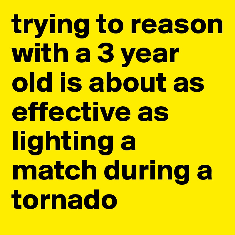 trying to reason with a 3 year old is about as effective as lighting a match during a tornado
