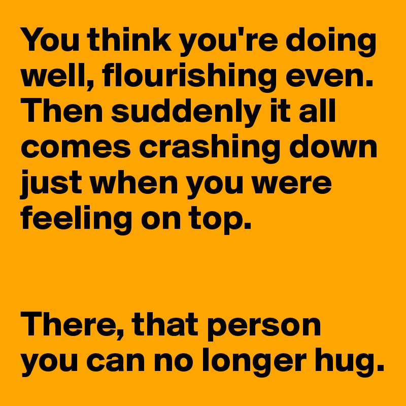 You think you're doing well, flourishing even. Then suddenly it all comes crashing down just when you were feeling on top. 


There, that person you can no longer hug. 