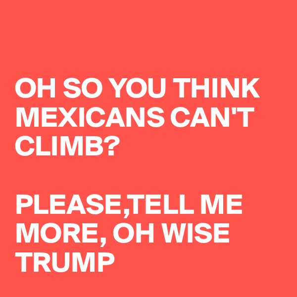 

OH SO YOU THINK MEXICANS CAN'T CLIMB?

PLEASE,TELL ME MORE, OH WISE TRUMP 