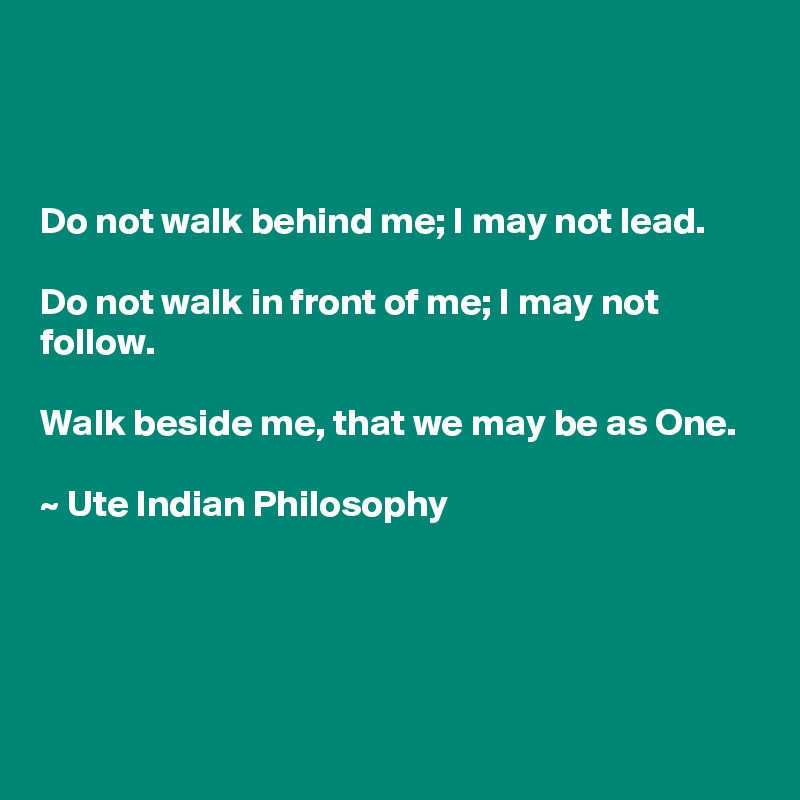 



Do not walk behind me; I may not lead.

Do not walk in front of me; I may not follow.

Walk beside me, that we may be as One.

~ Ute Indian Philosophy



