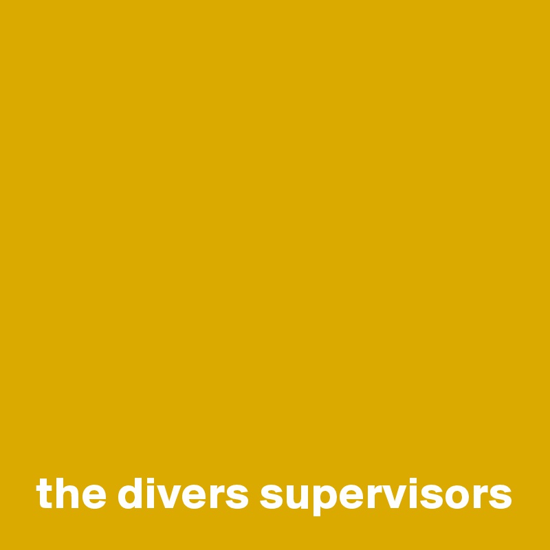 








 the divers supervisors