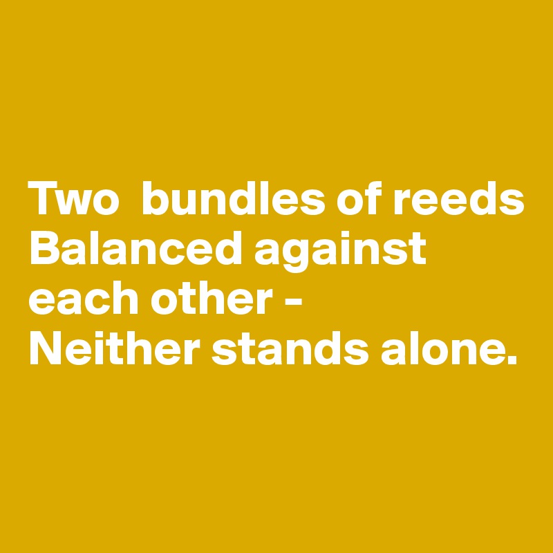 


Two  bundles of reeds
Balanced against each other -
Neither stands alone.

