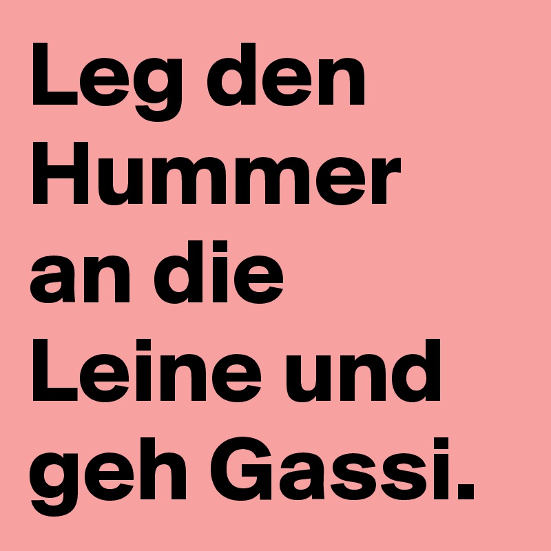 Leg den Hummer an die Leine und geh Gassi.