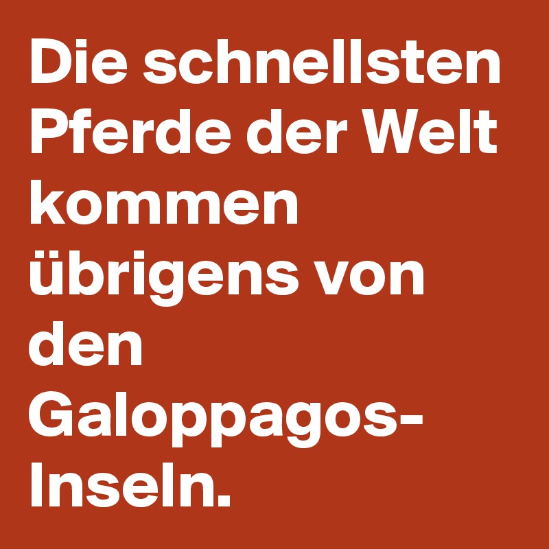 Die schnellsten Pferde der Welt kommen übrigens von den Galoppagos- Inseln.