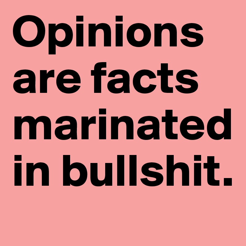 Opinions are facts marinated in bullshit.