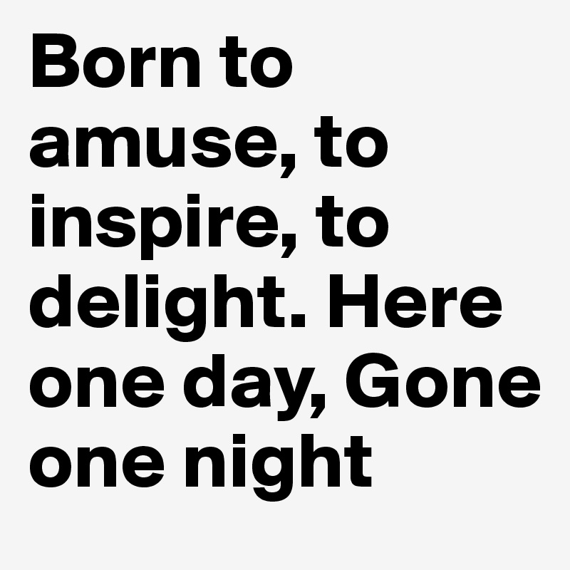 Born to amuse, to inspire, to delight. Here one day, Gone one night