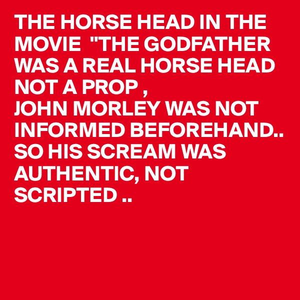 THE HORSE HEAD IN THE MOVIE  "THE GODFATHER WAS A REAL HORSE HEAD NOT A PROP ,
JOHN MORLEY WAS NOT INFORMED BEFOREHAND..
SO HIS SCREAM WAS 
AUTHENTIC, NOT 
SCRIPTED ..
  

