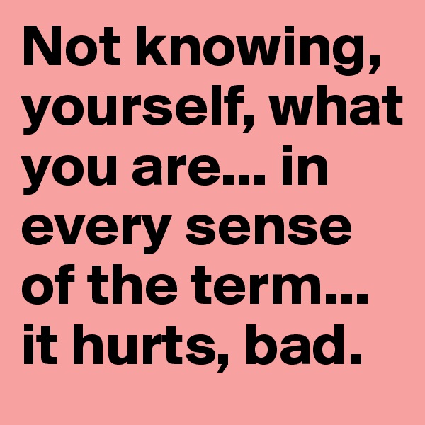 Not knowing, yourself, what you are... in every sense of the term... it hurts, bad.
