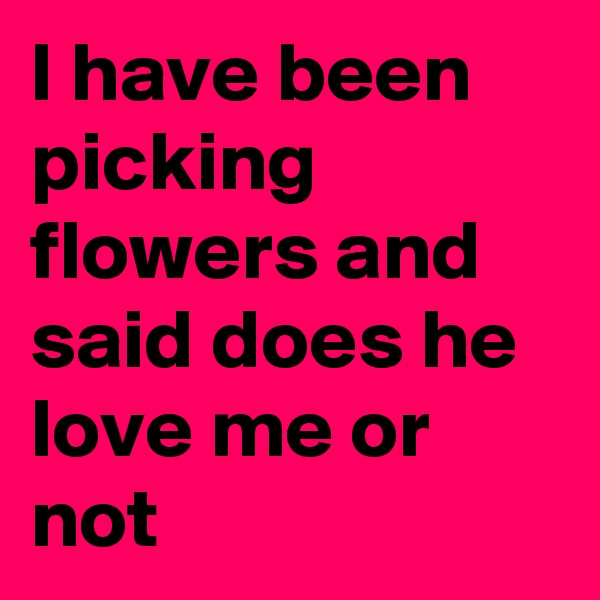 I have been picking flowers and said does he love me or not 