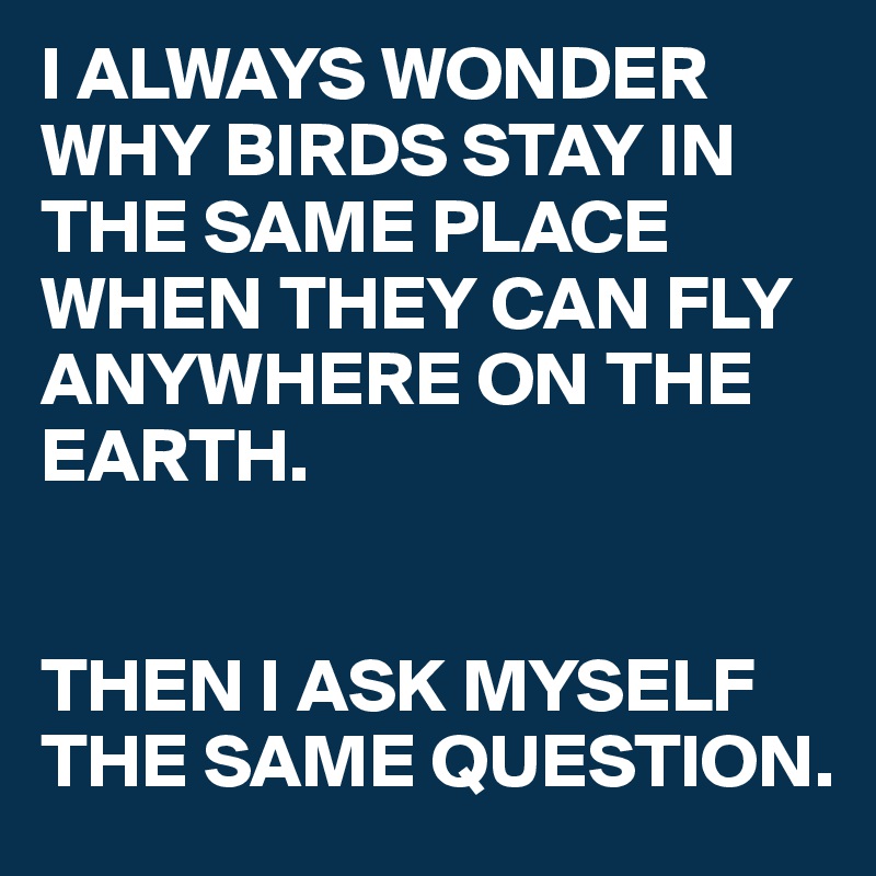 I ALWAYS WONDER WHY BIRDS STAY IN THE SAME PLACE WHEN THEY CAN FLY ANYWHERE ON THE EARTH.


THEN I ASK MYSELF THE SAME QUESTION.