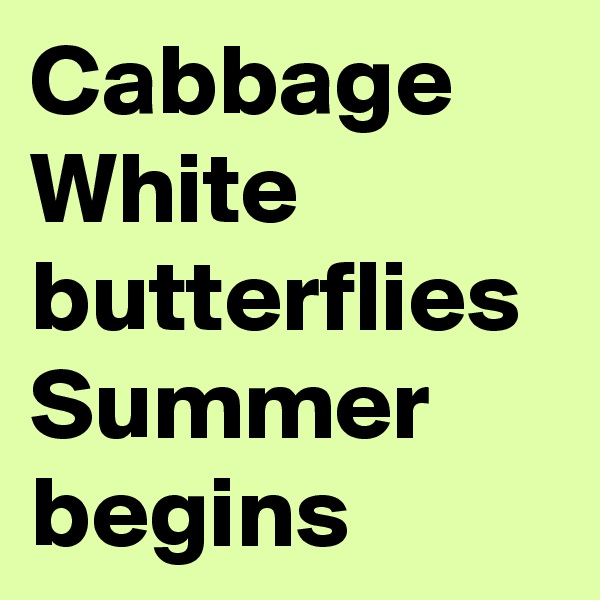 Cabbage White butterflies Summer begins