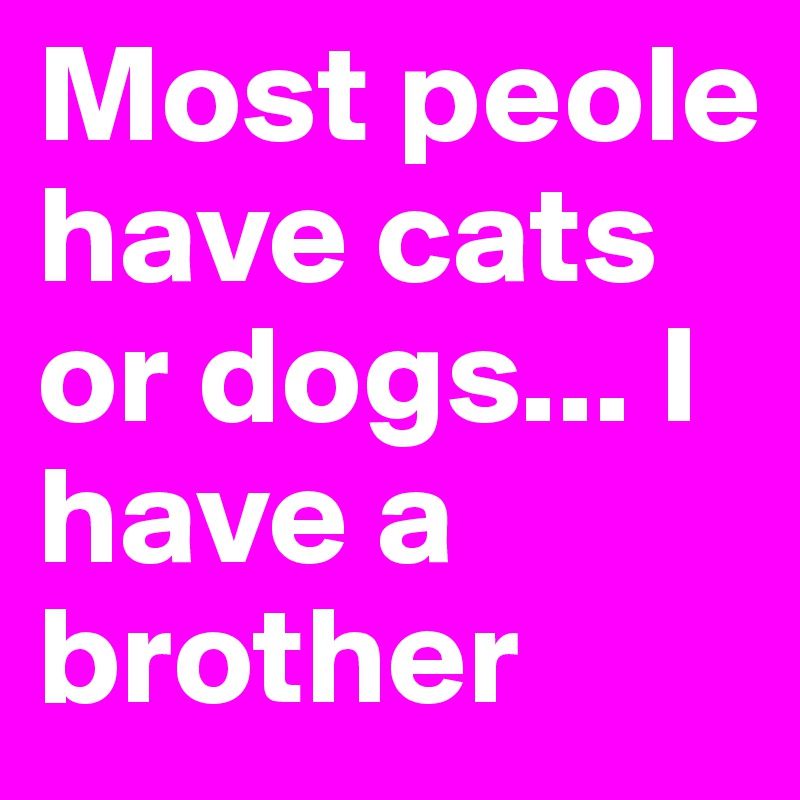 Most peole have cats or dogs... I have a brother