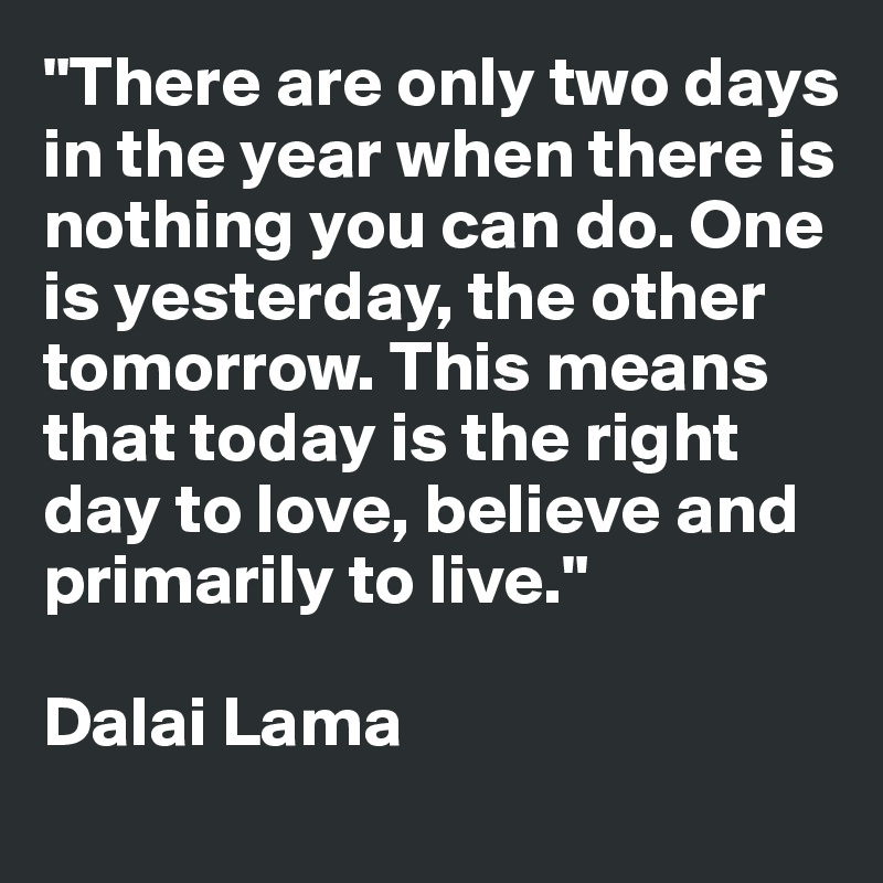 "There are only two days in the year when there is nothing you can do. One is yesterday, the other tomorrow. This means that today is the right day to love, believe and primarily to live."

Dalai Lama