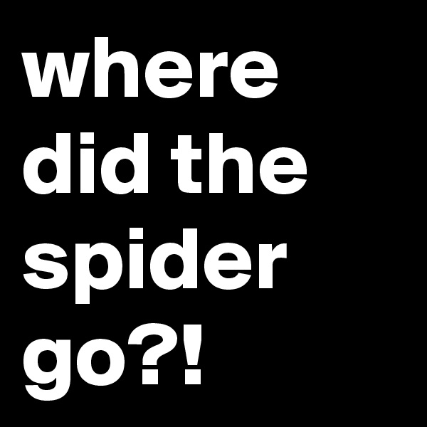 where did the spider go?!