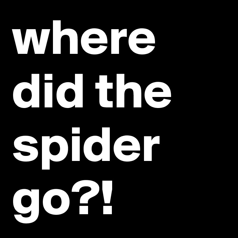 where did the spider go?!