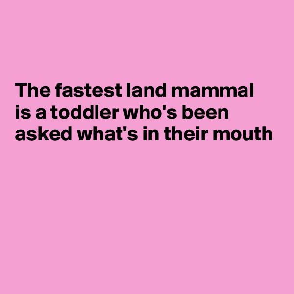 


The fastest land mammal is a toddler who's been asked what's in their mouth





