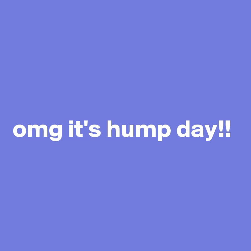 



omg it's hump day!!


