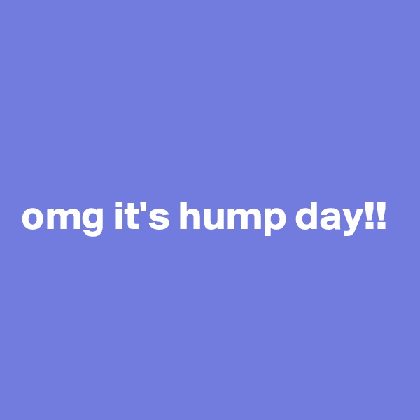 



omg it's hump day!!


