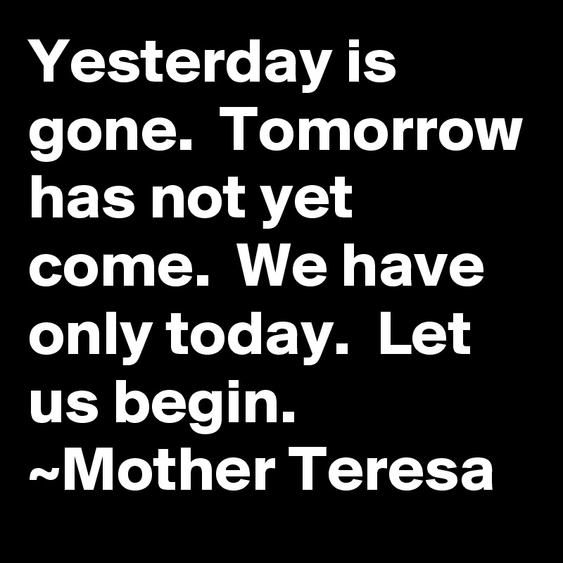 Yesterday is gone.  Tomorrow has not yet come.  We have only today.  Let us begin.
~Mother Teresa