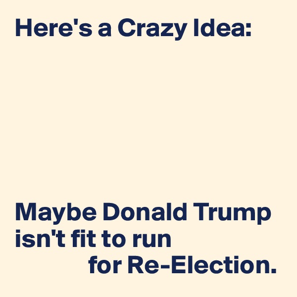 Here's a Crazy Idea:






Maybe Donald Trump isn't fit to run 
              for Re-Election.