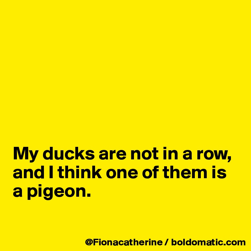 






My ducks are not in a row,
and I think one of them is
a pigeon.  

