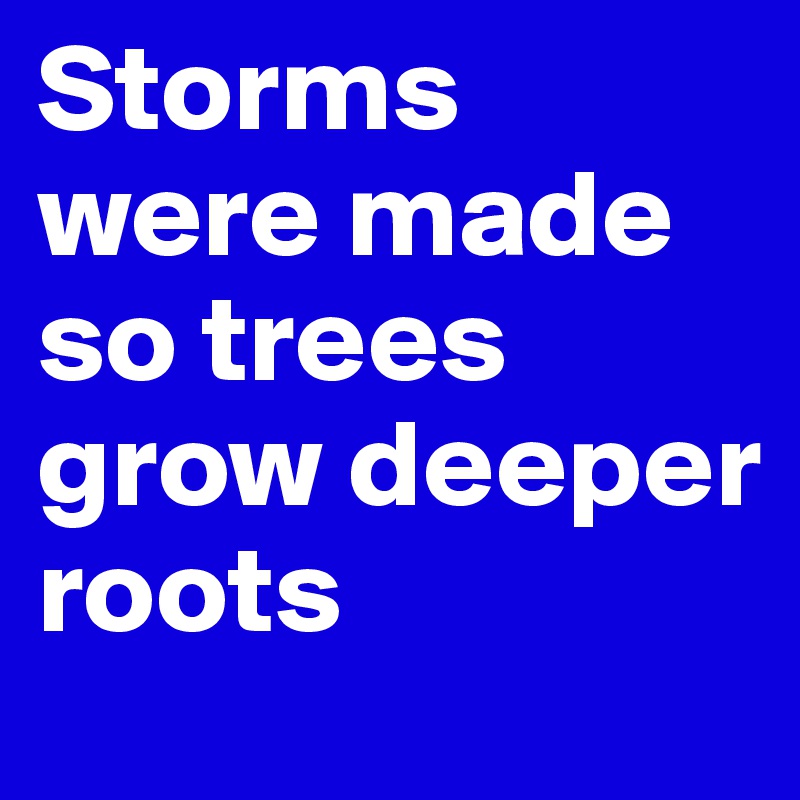 Storms were made so trees grow deeper roots