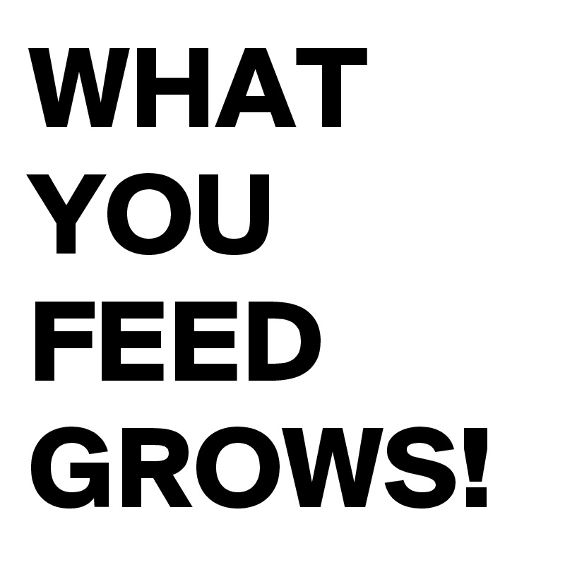 WHAT
YOU FEED
GROWS!