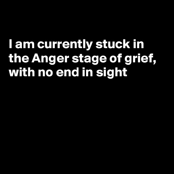 

I am currently stuck in
the Anger stage of grief,
with no end in sight 






