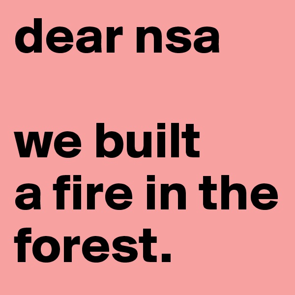 dear nsa

we built
a fire in the forest. 