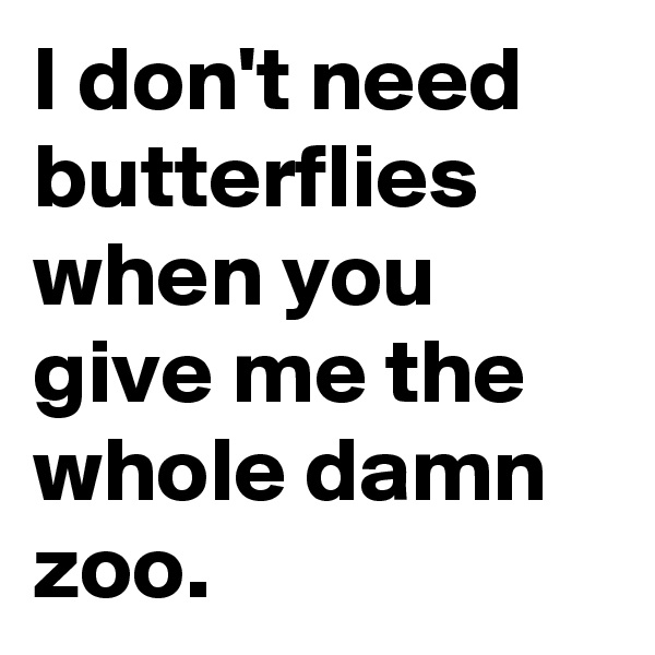 I don't need butterflies when you give me the whole damn zoo.