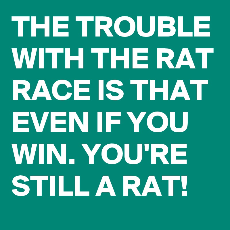THE TROUBLE WITH THE RAT RACE IS THAT EVEN IF YOU WIN. YOU'RE STILL A RAT! 
