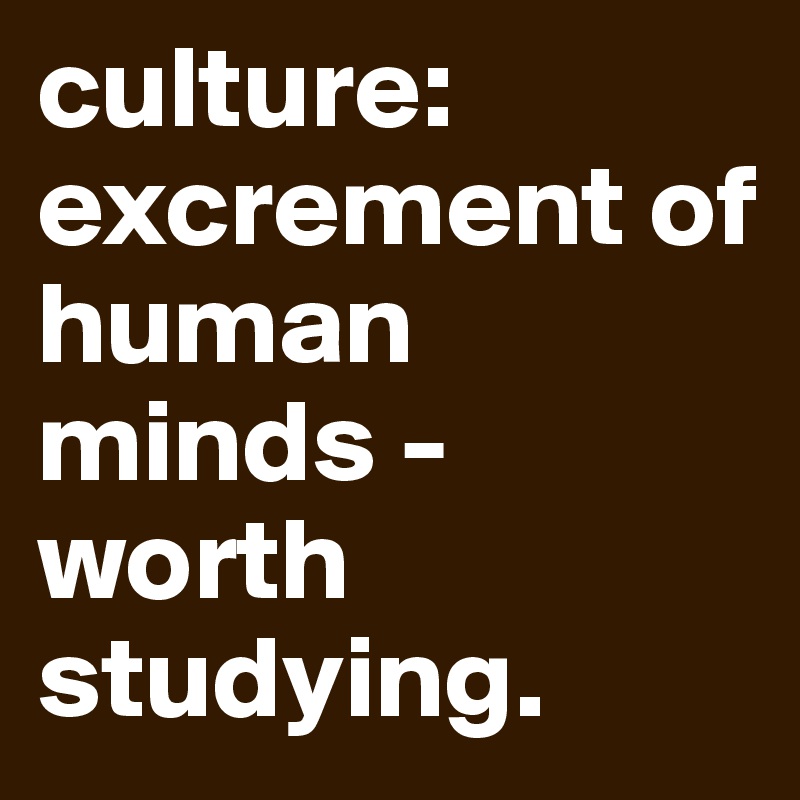 culture: excrement of human minds - worth studying. 