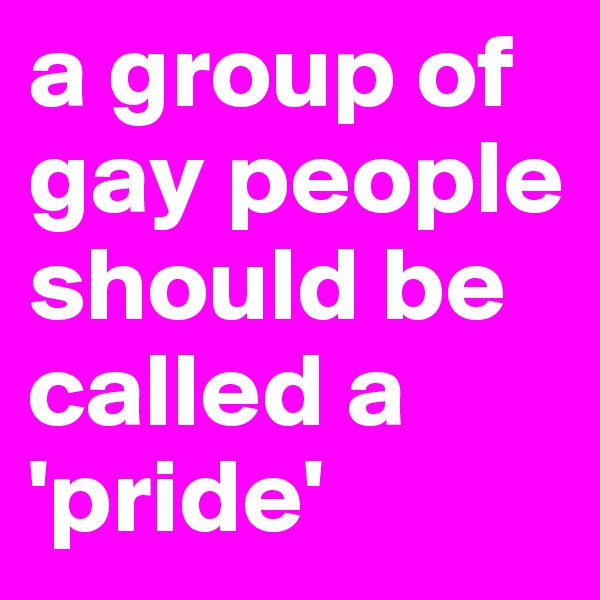 a group of gay people should be called a 'pride'