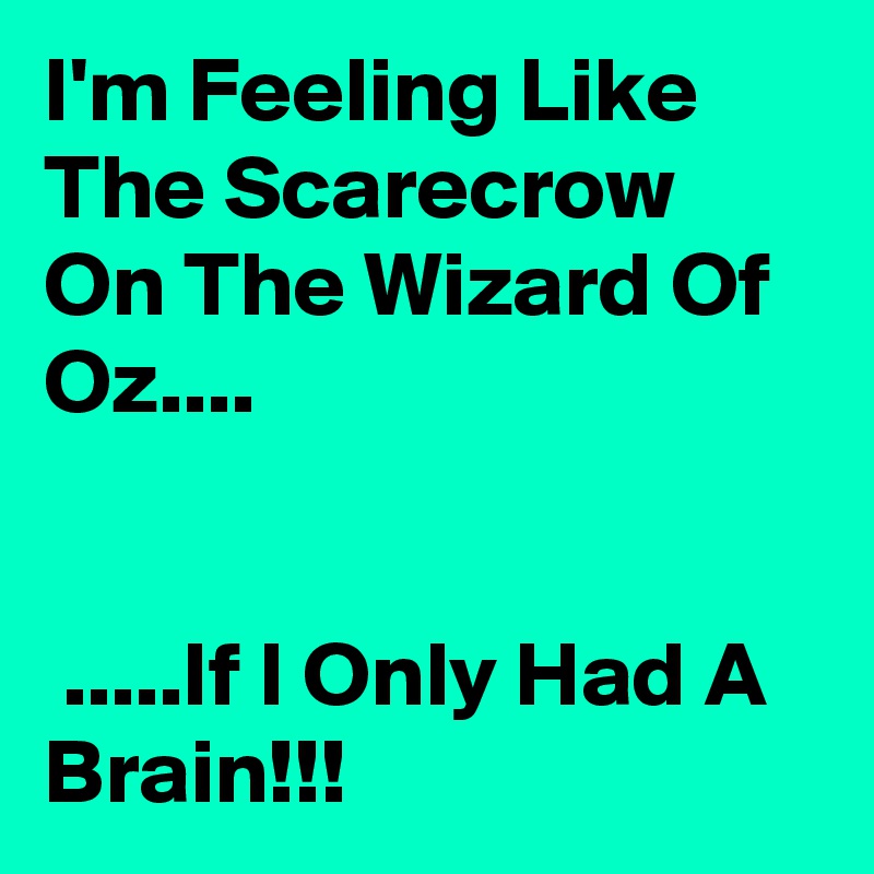 I'm Feeling Like The Scarecrow On The Wizard Of Oz....


 .....If I Only Had A Brain!!!