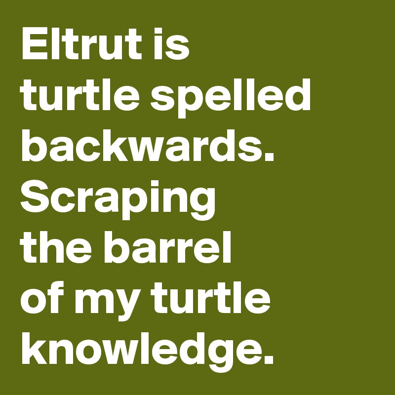 Eltrut is 
turtle spelled backwards. Scraping 
the barrel 
of my turtle knowledge. 