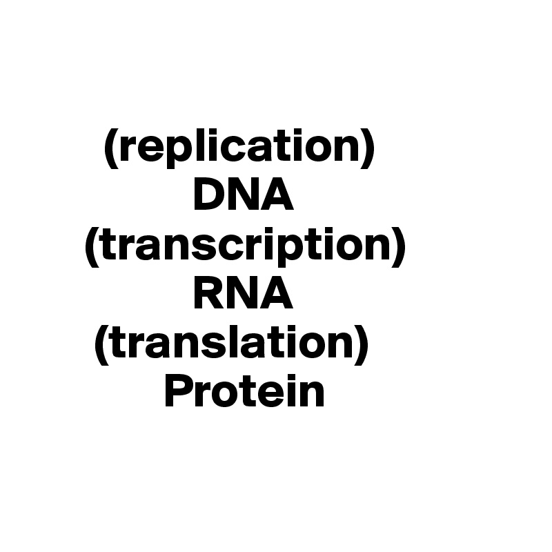 
   
        (replication)
                 DNA      
      (transcription)
                 RNA
       (translation)
              Protein

